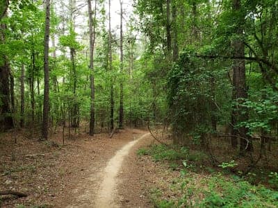Anne Springs Close Greenway