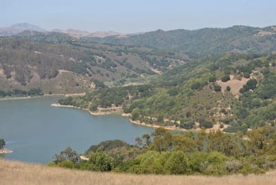 Anthony Chabot Regional Park