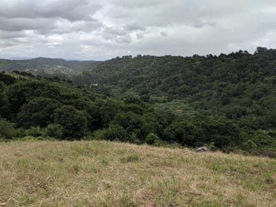 Anthony Chabot Regional Park
