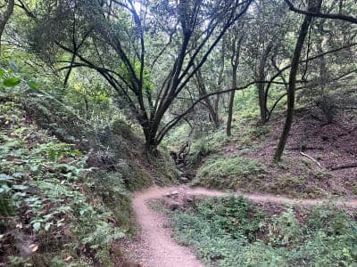 Anthony Chabot Regional Park