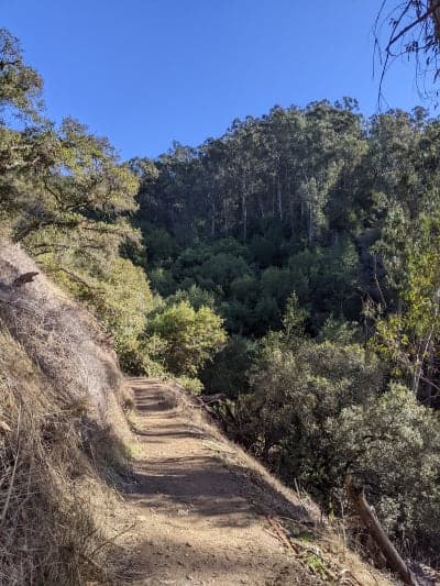 Anthony Chabot Regional Park