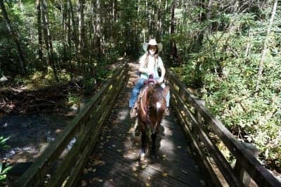 Anthony Creek Horse Camp