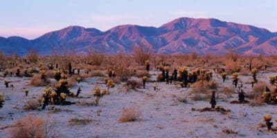 Anza-Borrego Desert State Park