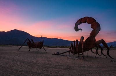 Anza-Borrego Desert State Park