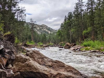 Arapaho–Roosevelt National Forest