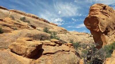 Arches National Park / Seven Mile & Salt Wash Stock Access