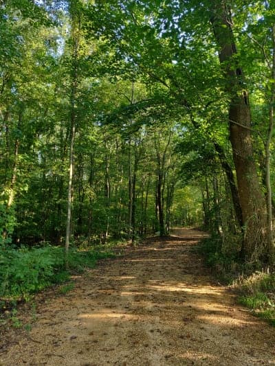 Arkabutla Lake | Sunfish Bay Horse Trail
