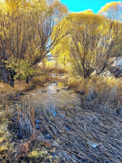 Anderson Park