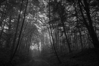 Ashuelot Recreational Rail Trail