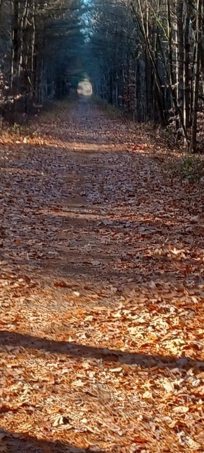 Ashuelot Recreational Rail Trail