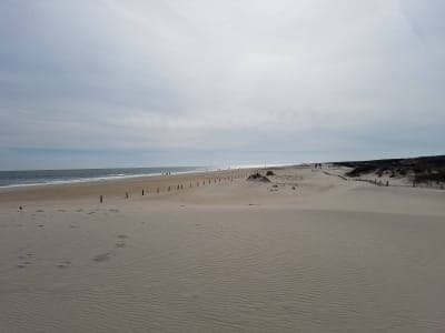 Assateague Island National Seashore