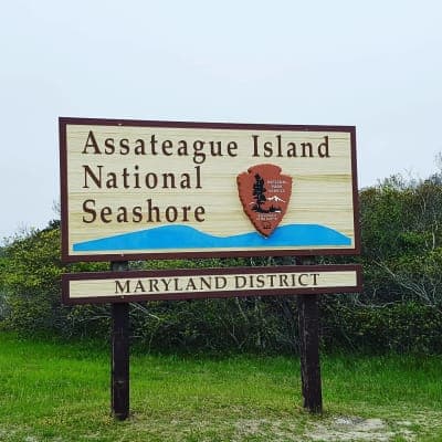 Assateague Island National Seashore