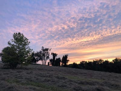 Auburn Valley State Park
