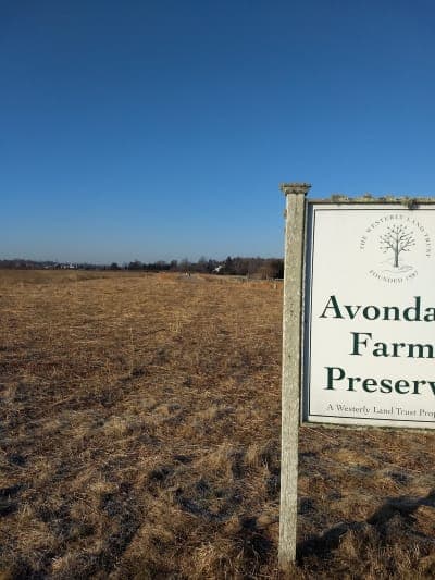 Avondale Farm Preserve
