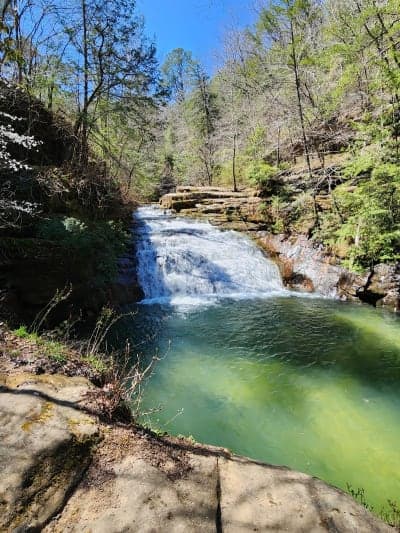 Bankhead National Forest / Owl Creek