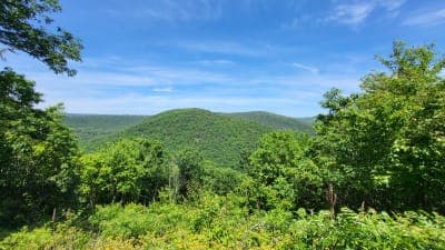 Bald Eagle State Forest / Central Mountains Shared-Use Trail System
