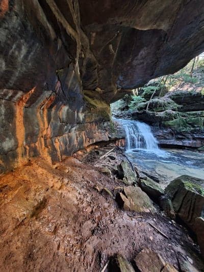 Bankhead National Forest / Owl Creek