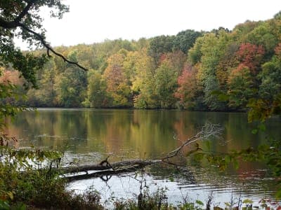 Barkcamp State Park