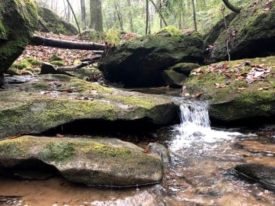 Bankhead National Forest / Owl Creek