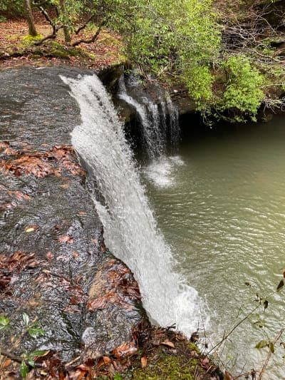Bankhead National Forest / Owl Creek