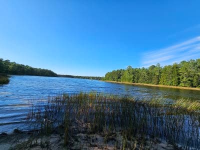 Bass River State Forest