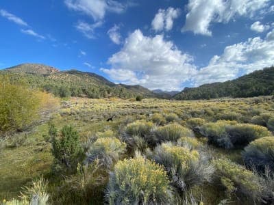 Barley Creek Trailhead & Campground