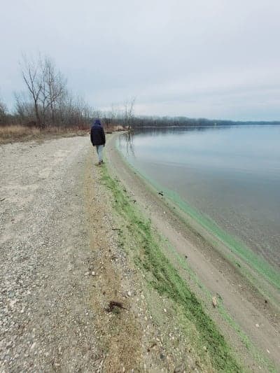 Bass River Recreation Area