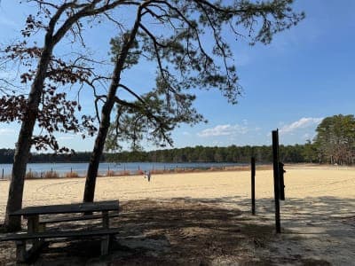 Bass River State Forest
