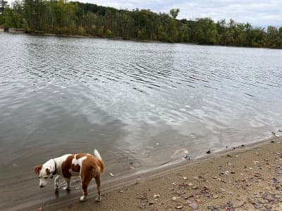 Bass River Recreation Area