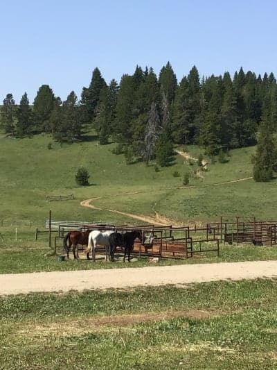 Battle Park Trailhead