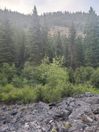 Bear Creek Trailhead