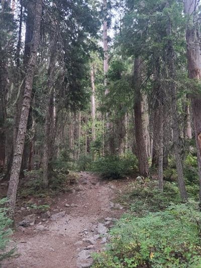 Bear Creek Trailhead