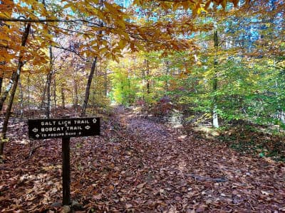 Bear Brook State Park