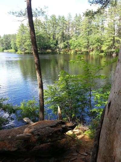 Bear Brook State Park
