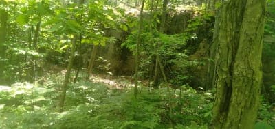 Beaver Creek State Forest