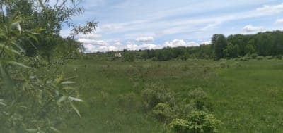 Beaver Creek State Forest
