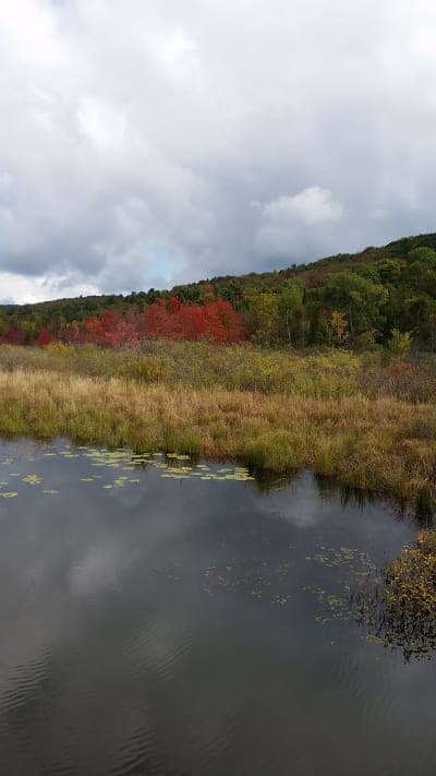 Beaver Creek State Forest