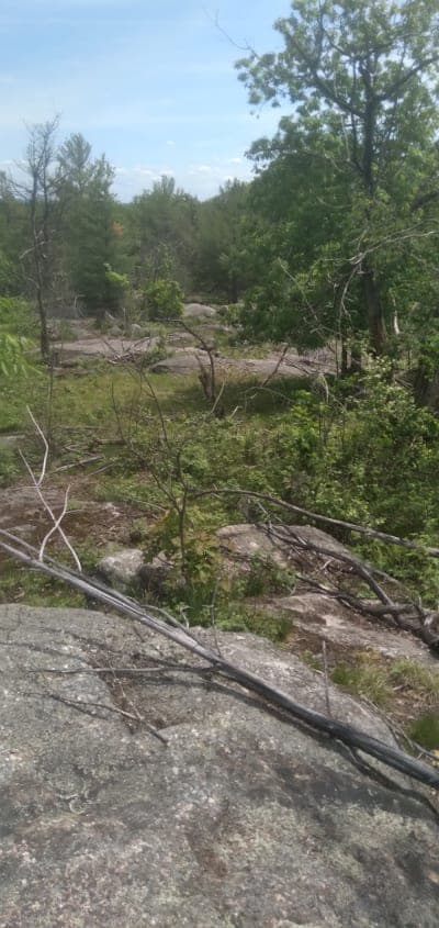 Beaver Creek State Forest
