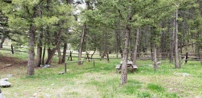 Bear Valley Horse Camp