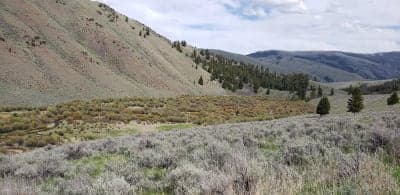 Bear Valley Horse Camp