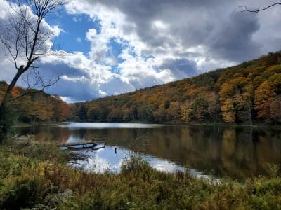 Bear Spring Mountain Campground & Day Use Area