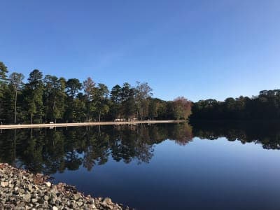 Belleplain State Forest
