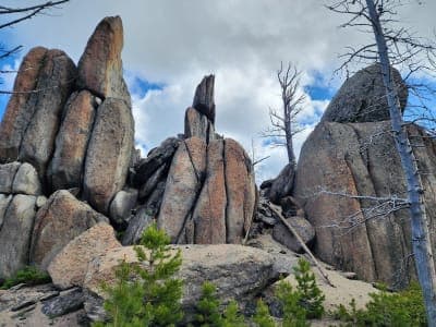 Beaverhead-Deerlodge National Forest