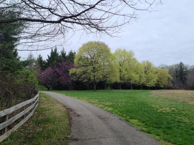 Bellevue State Park