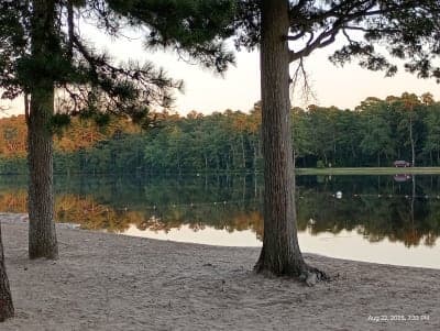 Belleplain State Forest