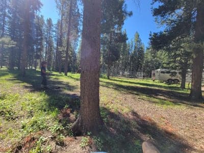 Benchmark Campground