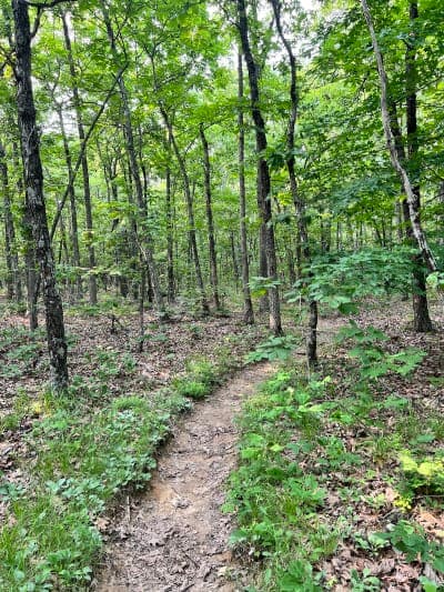 Bell Mountain Wilderness Trailhead
