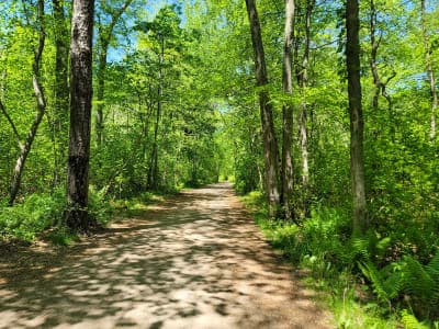 Belmont Lake State Park