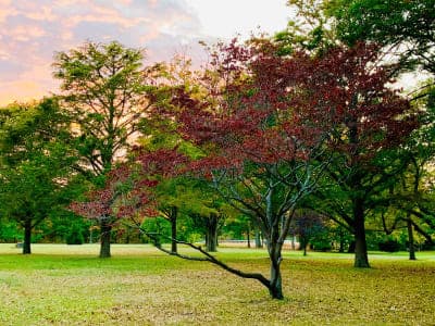 Belmont Lake State Park