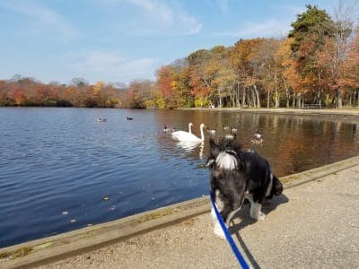 Belmont Lake State Park
